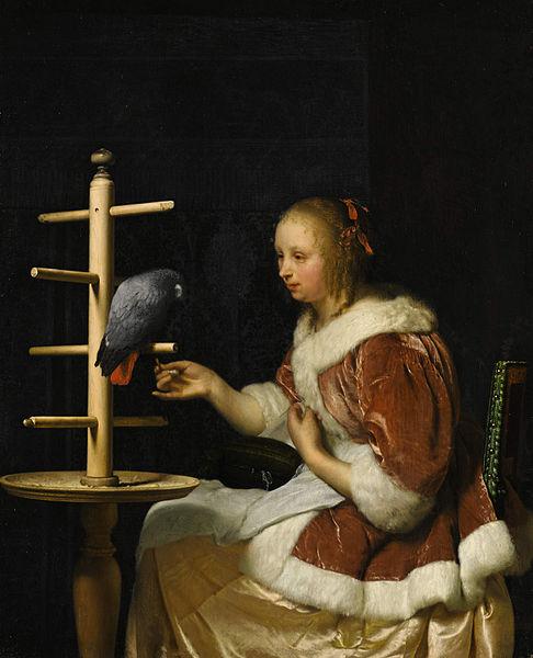Frans van Mieris A Young Woman in a Red Jacket Feeding a Parrot oil painting picture